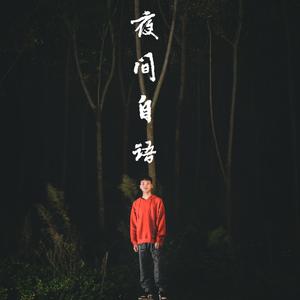 夜间自语