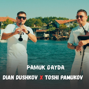 Памук гайда