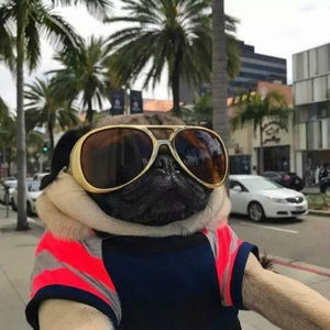 EHRLING-Champagne Ocean（Felix Remix）Bpm122（Dj Felix Remix）