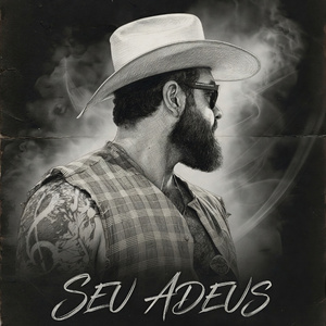 Seu adeus