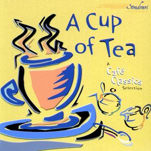 Piano Concerto No 1 in D Minor: Adagio