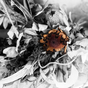 Brand new inner bloom