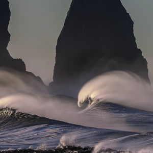 Seaside Whispers