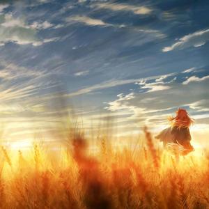 旅の途中【木吉他指弹】