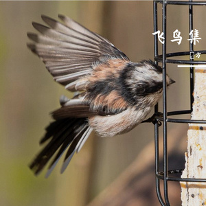 游戏时间（Game Time）