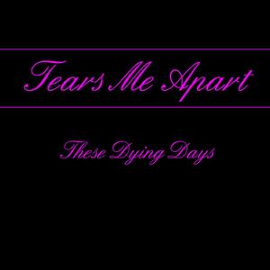 Tears Me Apart