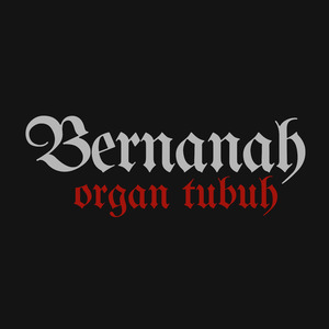 Organ Tubuh