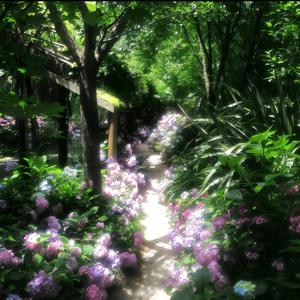 只怪那天的天气