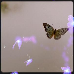 한마디만 해줘요