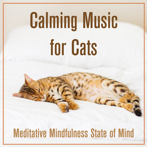 Calming Music For Cats