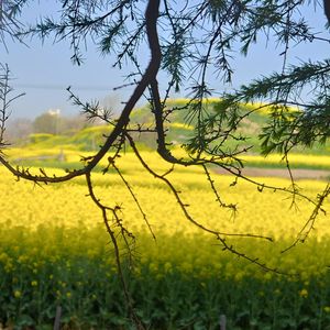 这一生关于你的风景