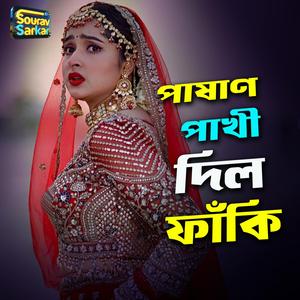 পাষাণ পাখী দিল ফাকি