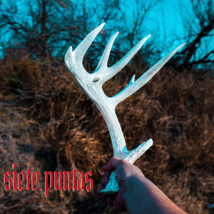 Siete Puntas