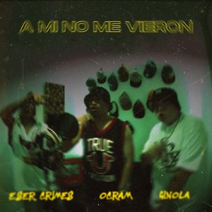 A Mi No Me Vieron
