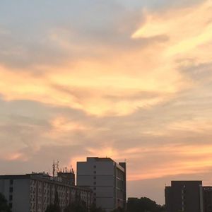 《溯流之翼》