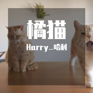 橘猫（prod by Cario）