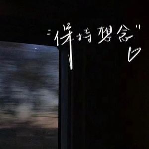 我看了56次日落