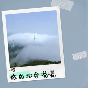 你的泪会说谎