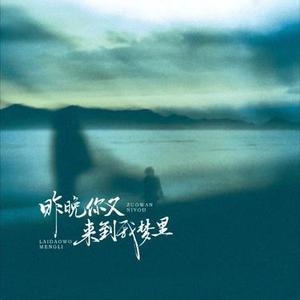 昨晚你又来到我梦里 (Cover 李发发 & 赵乃吉 & 田园 & 云汐 & 窝窝 & 黑豆ado & 格雷西西西 & 苏四 & 李志宇 & 小鱼干)