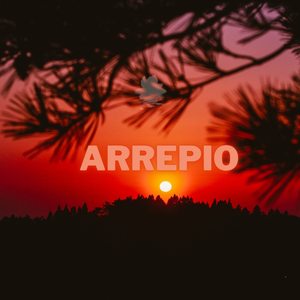 Arrepio (feat. Kitoko Sound, Arándano, Afro Dark & Din BEATS)