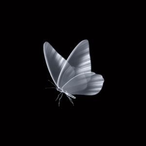 幻梦prod.by Roccky x Bubbleboy