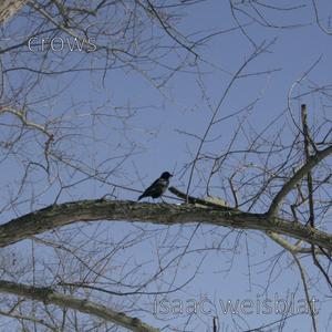 Crows (A Song for My Friends)