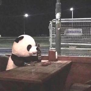 那就，再也不见