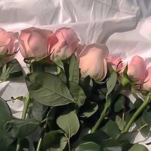 写给黄淮（cover解忧邵帅）