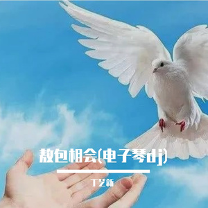 敖包相会(电子琴Dj)