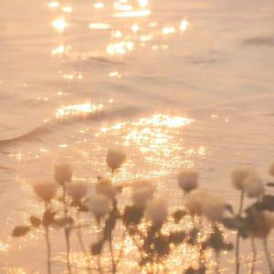 我曾遇到一束光（温柔版）