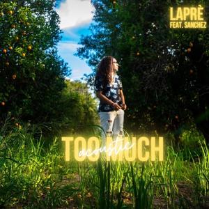 Too Much (feat. Sanchez) (Acoustic)