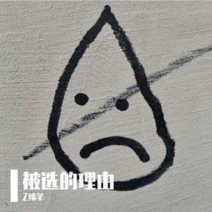 被选的理由