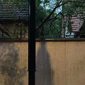 新生长的树之年轮