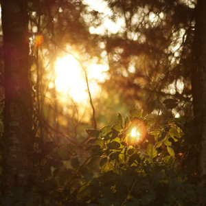 Absence of Association