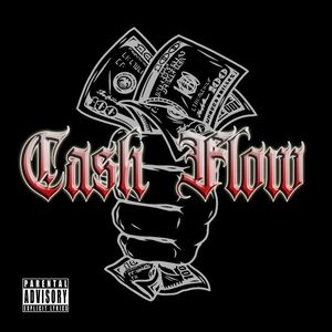 Cash flow