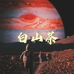 百变总裁 (DJ版)