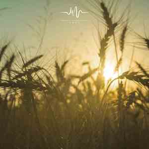 月夜往事 (吉他)