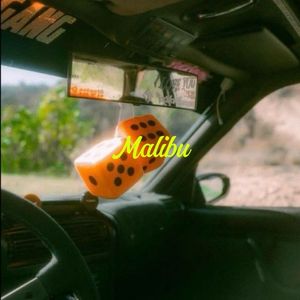 "Malibu"|Bankrol Hayden Type Beat