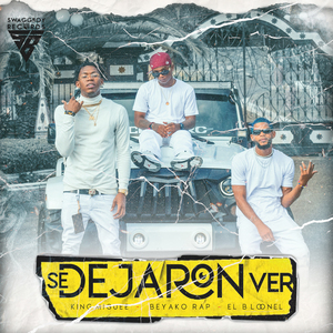 Se Dejaron Ver