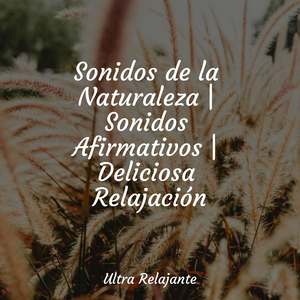 Puesta De Sol en La Montaña