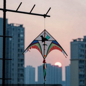 回不去的年少