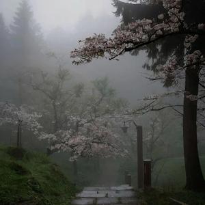 내-마음은-여전히