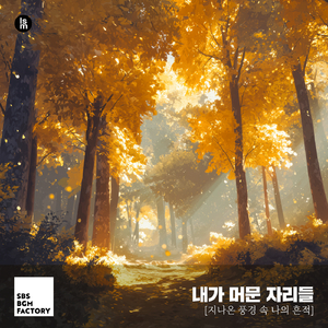 바람 따라 도착한 곳