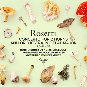 Concerto for 2 Horns and Orchestra in E-Flat Major, RWV C56Q: II. Romance. Adagio