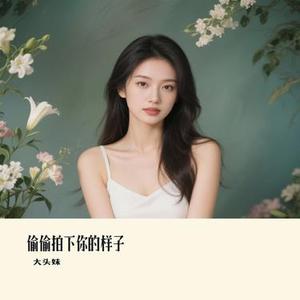 偷偷拍下你的样子 (Remix)