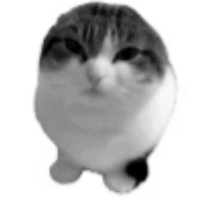 Surround Sound & GALZXYPHER（21yxng remix）