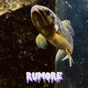 RUMORE