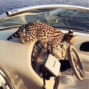 Come Home（3D 环绕版）（Salao remix）