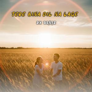 Tere Bina Dil Na Lage