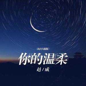 你的温柔 (DJ小桐版)